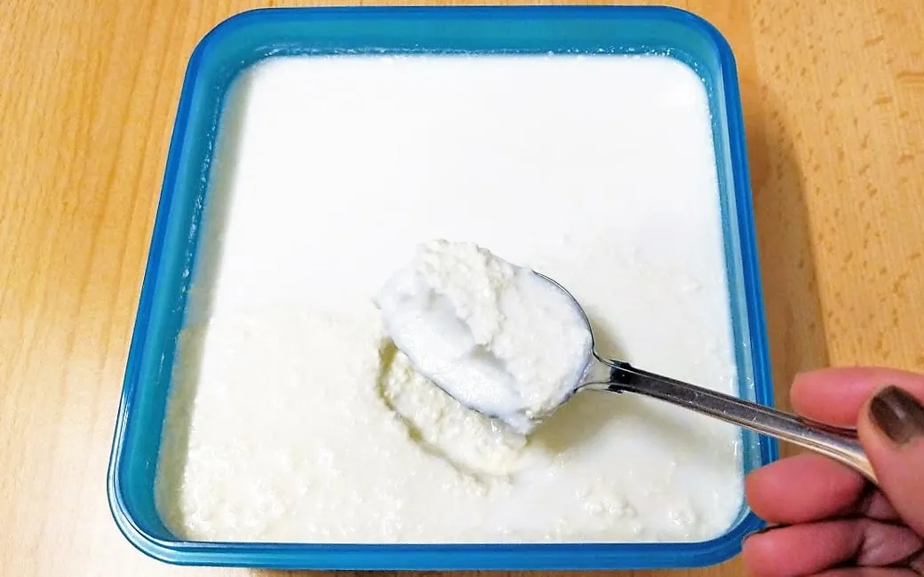 Hausgemachter Joghurt Rezept