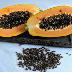 Papaya Kerne - eine Naturarznei Obst Gesundheitstipp