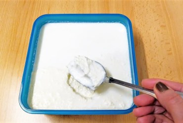 Selbstgemachter Joghurt Rezept