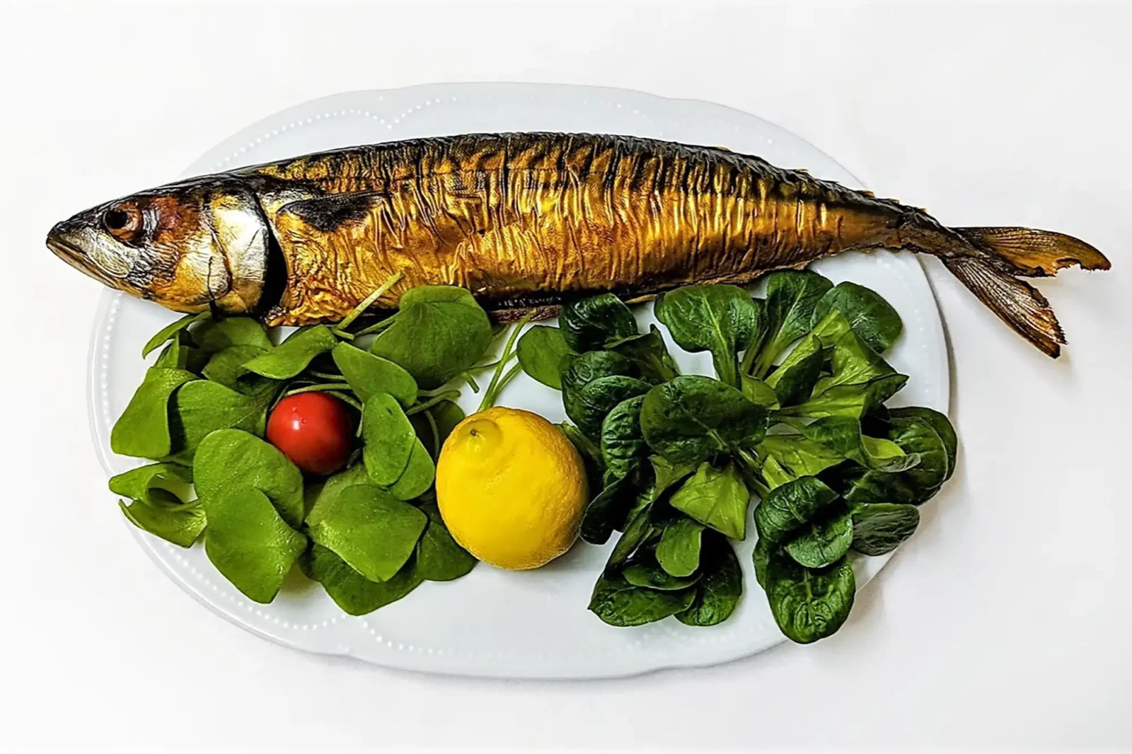 Makrelen Diät Gesund, frische Makrele, Gesund mit Omega-3-Fettsäuren