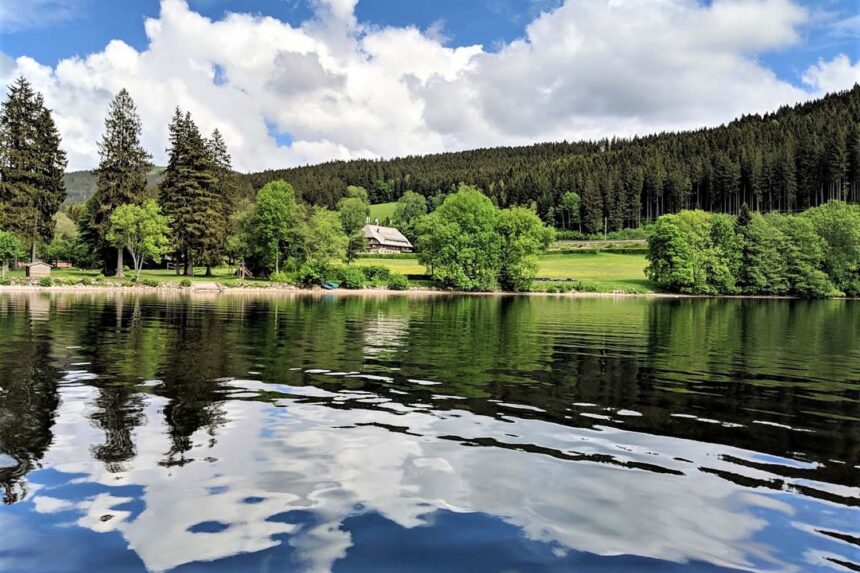 Der Titisee