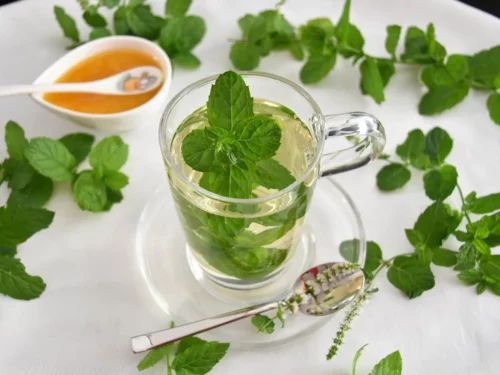 Pfefferminztee Rezept