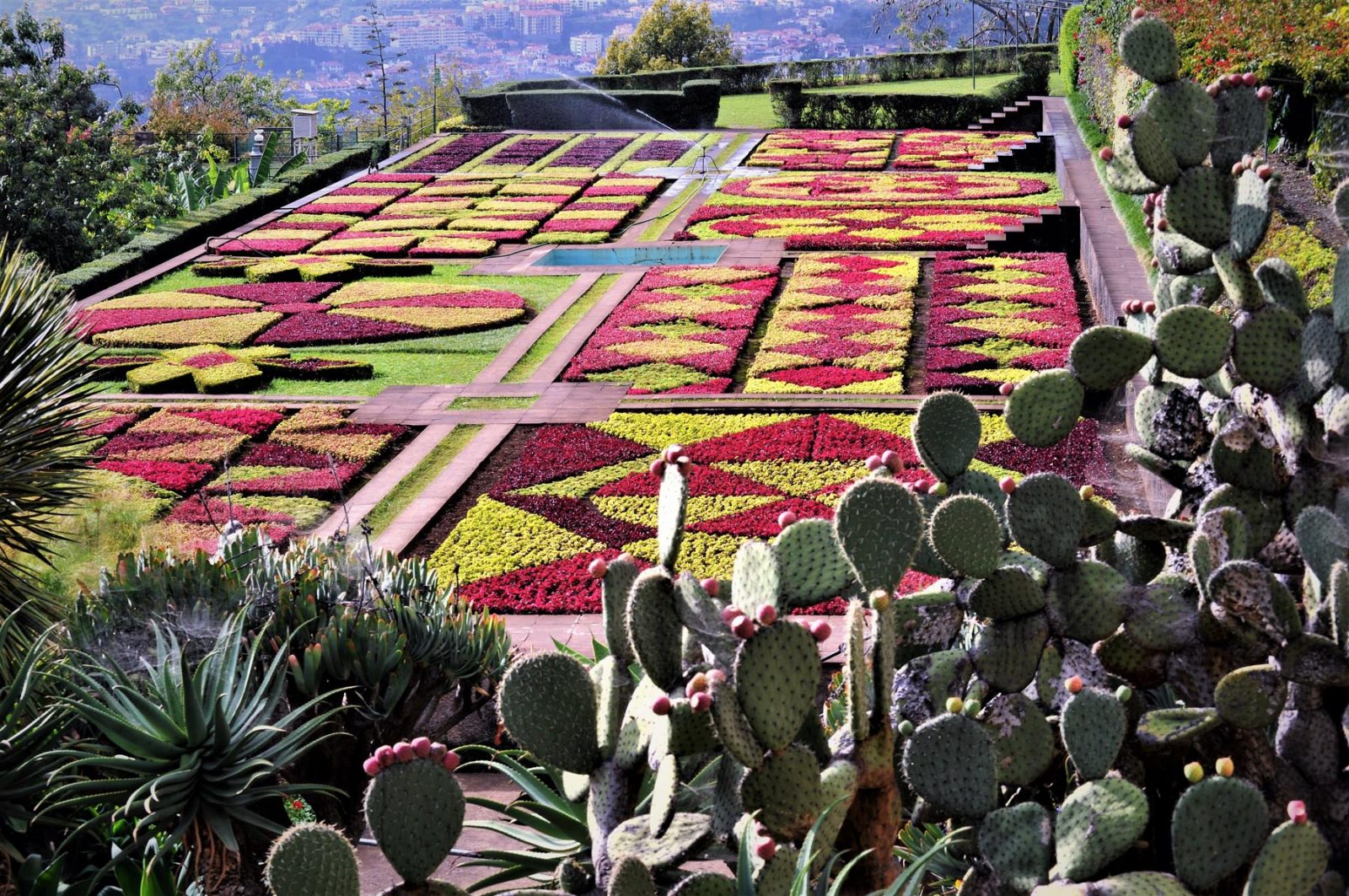 Botanischer Garten von Madeira – Jardim Botanico-Titelbild-ballesworld