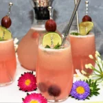 Stachelbeere Schokoladen Limonade Sommer Rezept