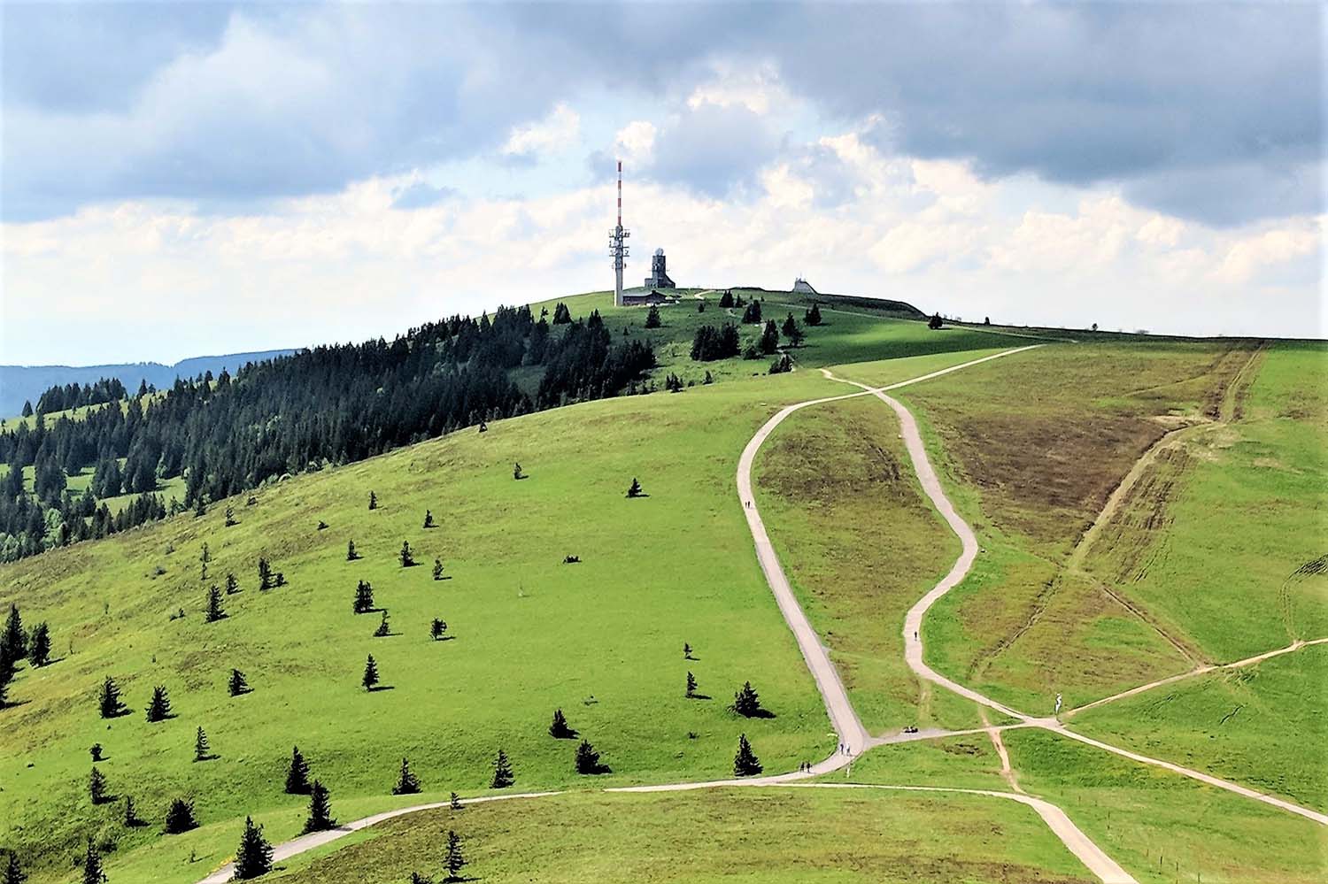 Der Feldberg