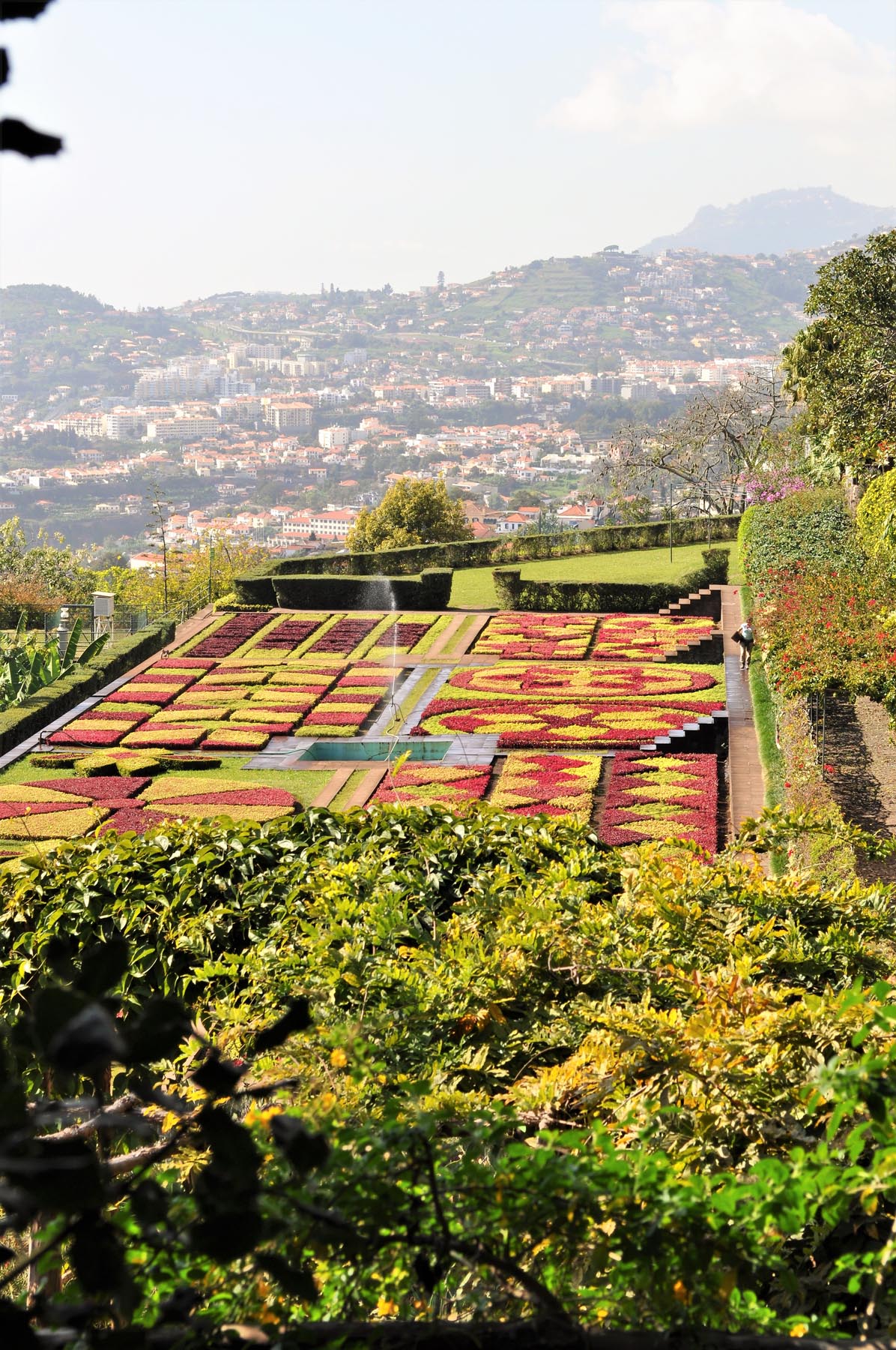 Botanischer-Garten-von-Madeira-Jardim-Botanico-Blumen Mosaik-ballesworld