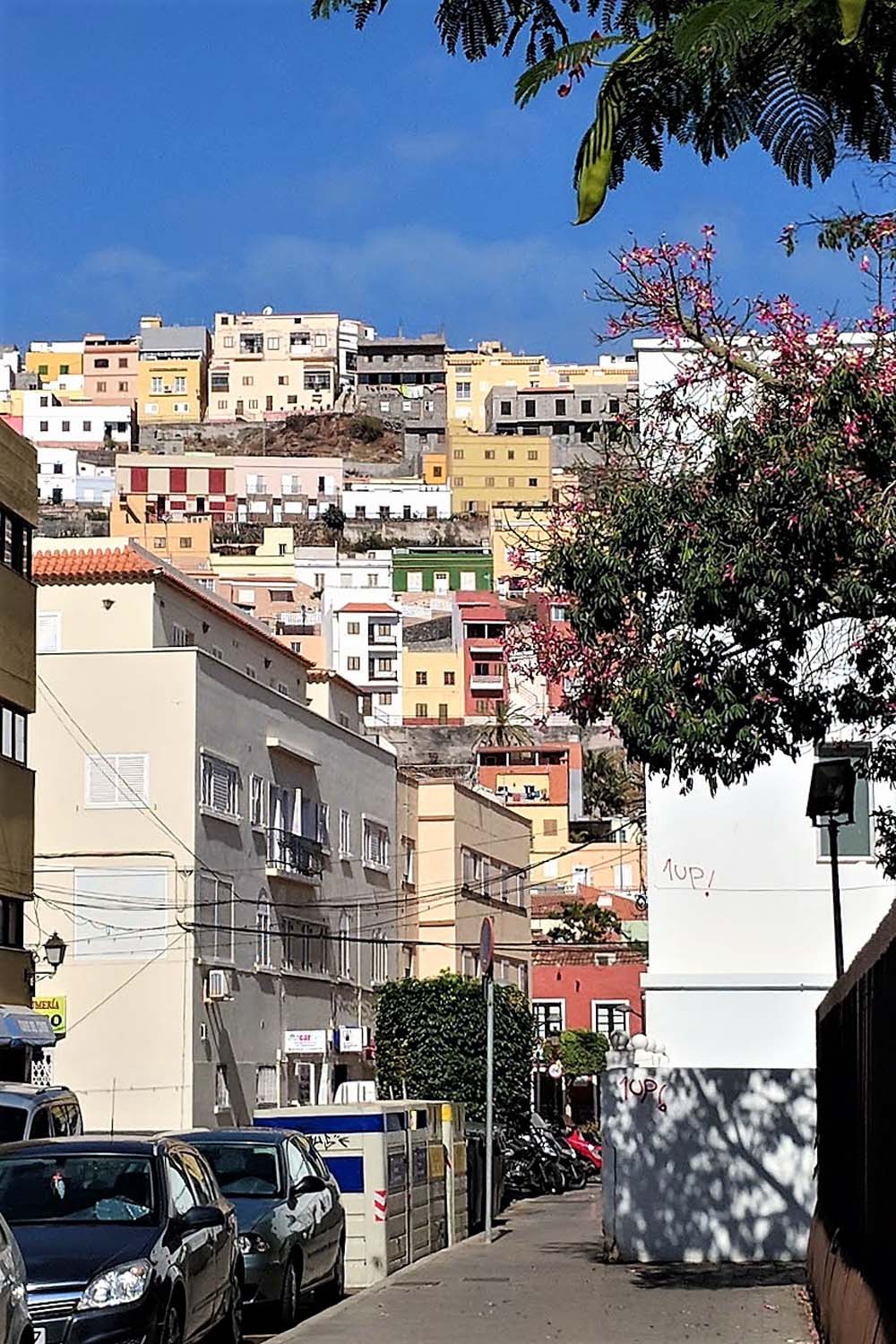 La-Gomera-63-ballesworld