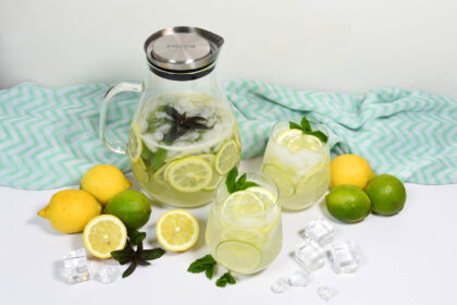 Zitronen-Limetten-Limonade mit frischer Minze-Anrichten-ballesworld