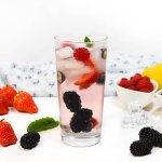 Wild Berry Drink–ohne Alkohol-Rezept-ballesworld
