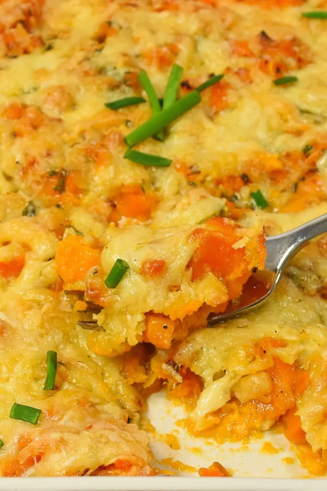 Süßkartoffel Quetsch-Gratin-Vegetarisch-ballesworld