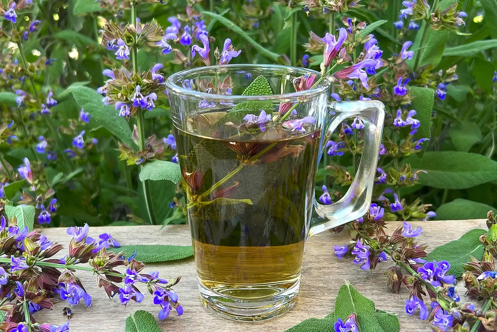 Salbei Tee - Heilsam und aromatisch-Rezept-ballesworld