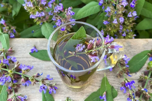 Salbei Tee - Heilsam und aromatisch-Servieren-ballesworld