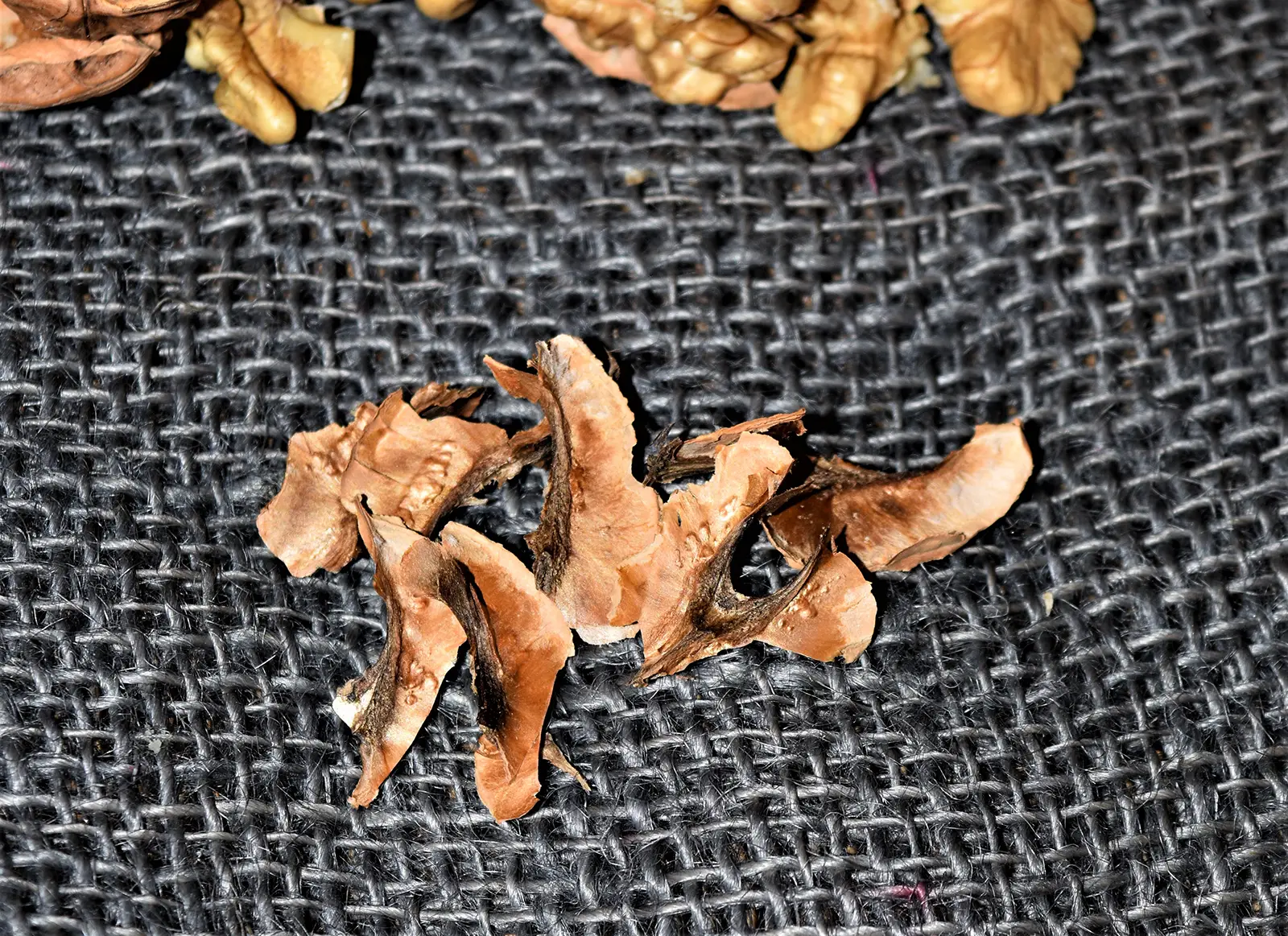 Die-Walnuss–regionales-Superfood-Nusskämben-Ballesworld