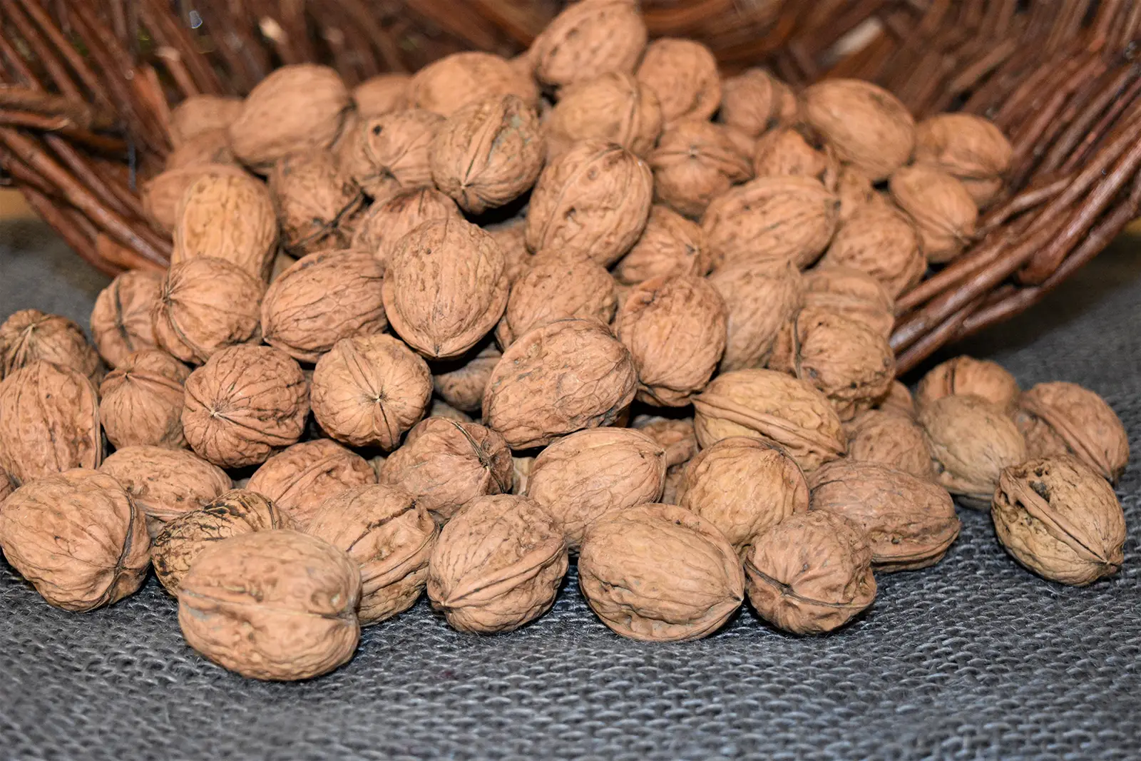 Die-Walnuss–regionales-Superfood-frisch-und-gesund-Ballesworld