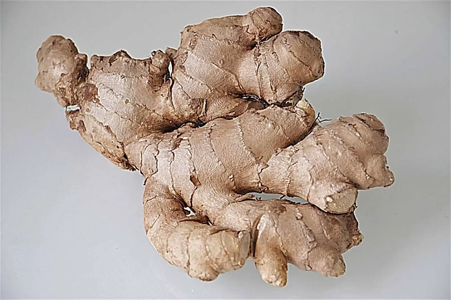 Ingwer-Kraft-aus- der- Natur-titel-ballesworld