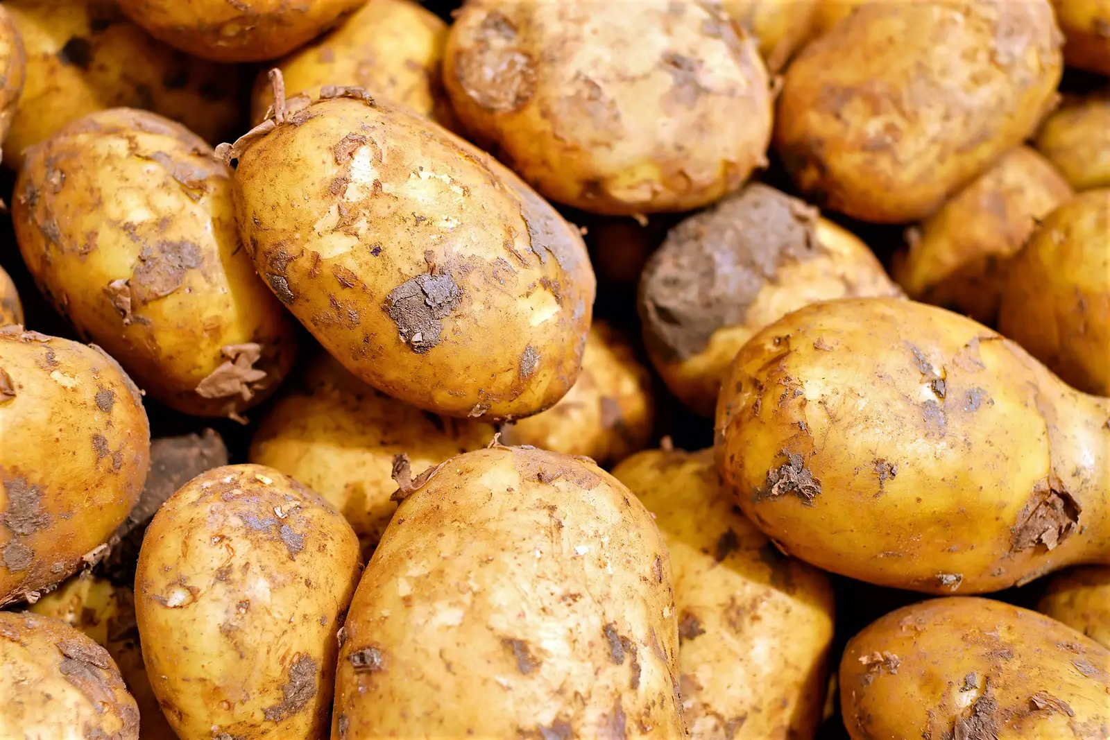 Kartoffel-gesund und lecker-ballesworld