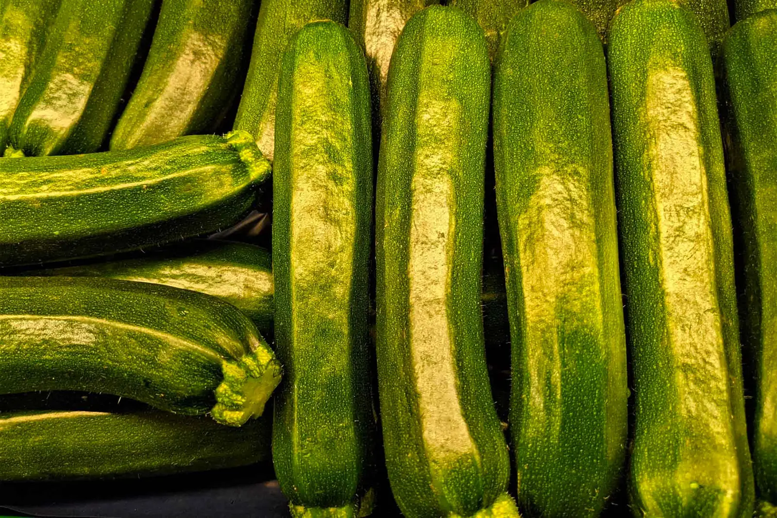 Zucchini - leicht, lecker, gesund-gesunde-zucchini-im-handel-ballesworld