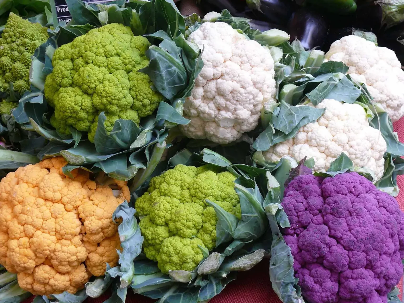 Blumenkohl - Gesund und Vielseitig-blumenkohl-nährstoffreich-und-leicht-ballesworld