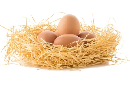 Warum Eier gesund sind-titel-ballesworld