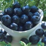 Antioxidantien - Einfach erklärt-bedeutung-ballesworld