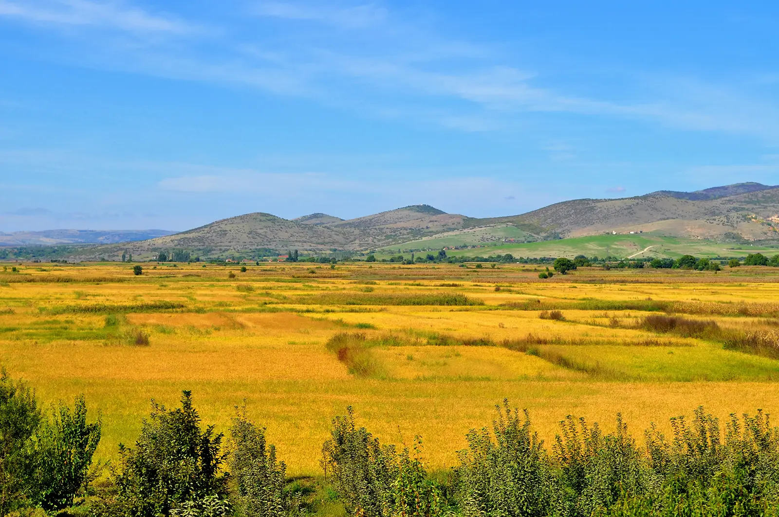 Gesunde Ernährung einfach erklärt-vollwertige-ernährung-ballesworld