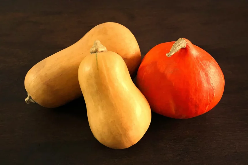 Kürbis - gesund und vielseitig-kürbis-inhaltsstoffe-ballesworld