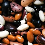 Ballaststoffe für gesunde Gefäße-hülsenfrüchte-ballesworld