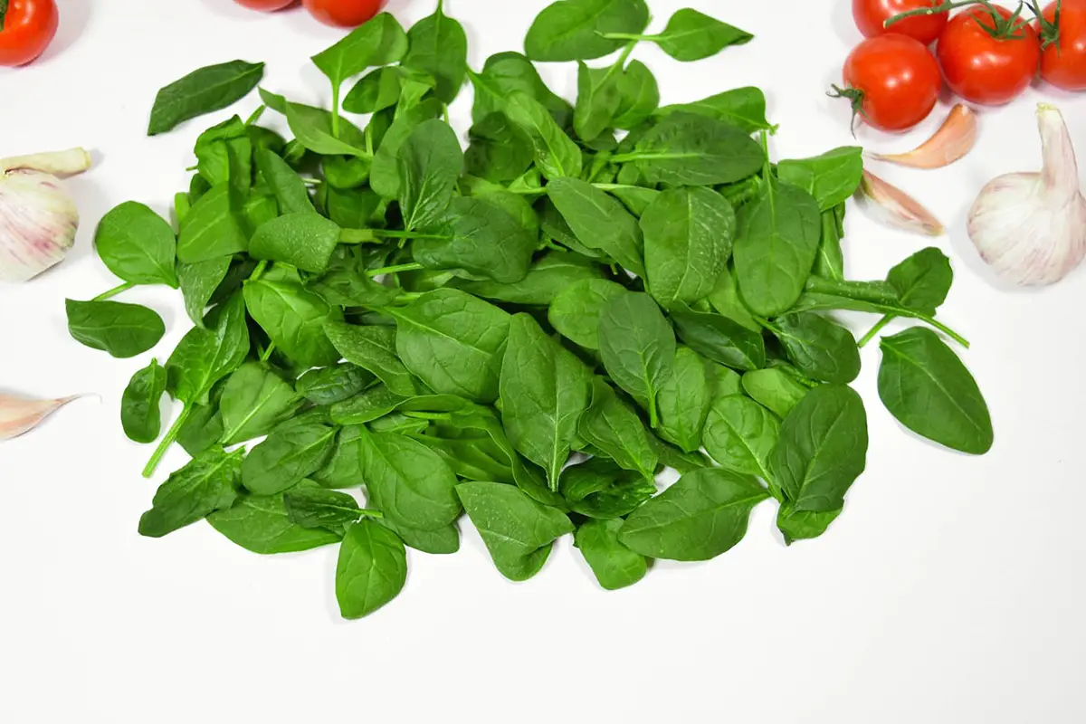 Vitaminmangel erkennen – einfach erklärt-mineralstoffmangel-ballesworld